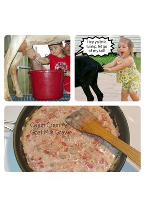 A picture of Cajun Country Goat Milk Gravy.
