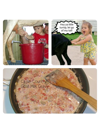 Simple Way Make Recipe Cajun Country Goat Milk Gravy that is So Delicious, Perfect}