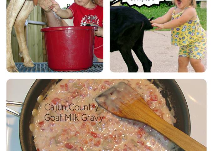 Easiest Way to Prepare Award-winning Cajun Country Goat Milk Gravy