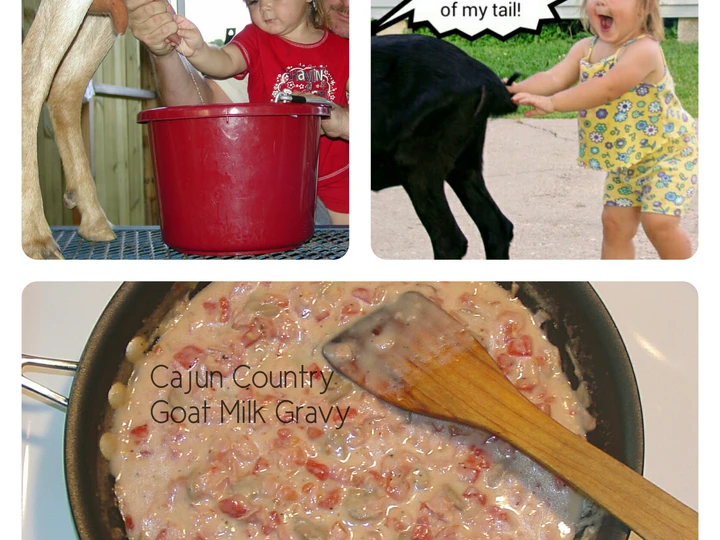 Simple Way Make Recipe Cajun Country Goat Milk Gravy that is So Delicious, Perfect}