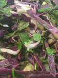 Grilled Scallion Slaw