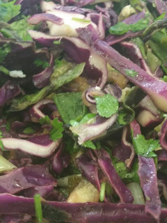 A picture of Grilled Scallion Slaw.
