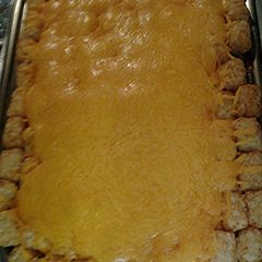A picture of Tater tot casserole.