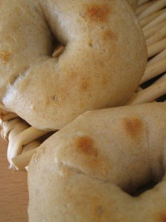A picture of Bagels Made With Apple Bread Starter.