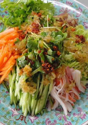 A picture of Somen Noodles with Lots of Vegetables and Leek Sauce.
