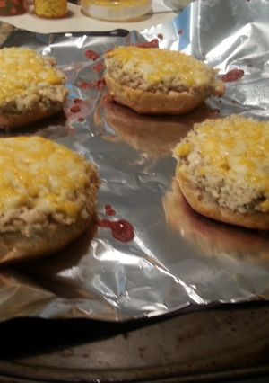 A picture of Tuna biscuits.