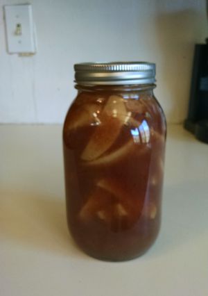 A picture of Canned Apple Pie Filling.