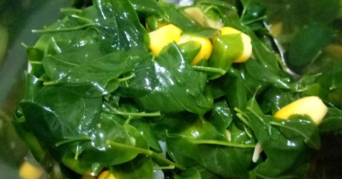 Resep Sayur Bening Daun Kelor Oleh Lovely Aline Cookpad