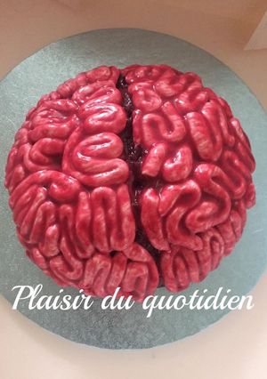 Une photo de Cerveau