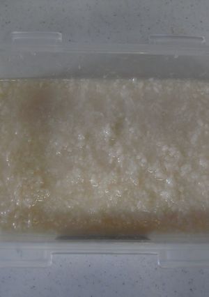 A picture of Basic Salt-Fermented Rice Malt (Shio-Koji).