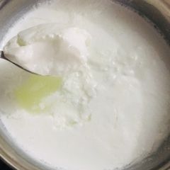 A picture of Homemade dahi.