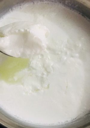 A picture of Homemade dahi.