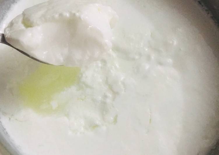 Recipe of Award-winning Homemade dahi | Satisfying Recipe | So Delicious !