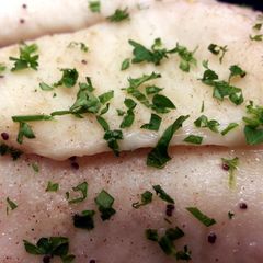 A picture of Easy Poppy Seed Tilapia.