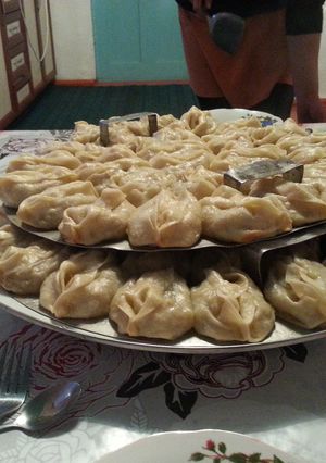 A picture of Kyrghyz manty.