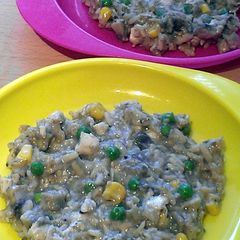 A picture of Vickys Kids 'Risotto', or Chicken, Rice and Peas in a Mushroom Sauce with an Adult Serving Option, Gluten, Dairy, Egg & Soy-Free.