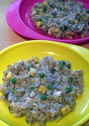 A picture of Vickys Kids 'Risotto', or Chicken, Rice and Peas in a Mushroom Sauce with an Adult Serving Option, Gluten, Dairy, Egg & Soy-Free.