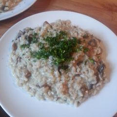 A picture of MZ - Mushrooms risotto.