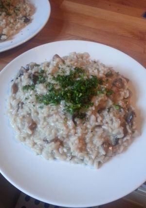 A picture of MZ - Mushrooms risotto.