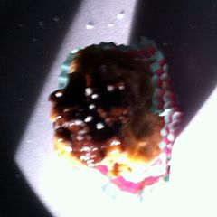 A picture of Nummy Yummies.