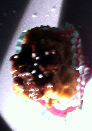 A picture of Nummy Yummies.