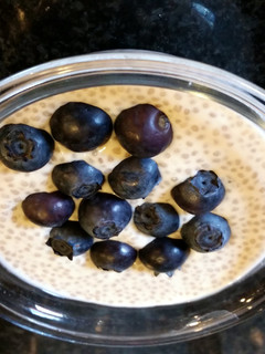 A picture of Chia Coconut Pudding.