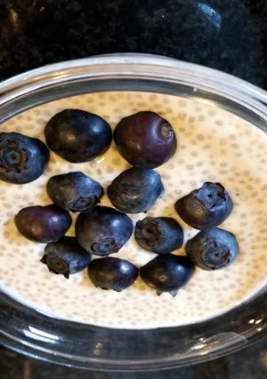 A picture of Chia Coconut Pudding.