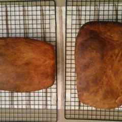 A picture of Honey bread (1 loaf).