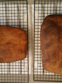 A picture of Honey bread (1 loaf).