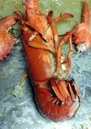 A picture of lobster twice cooked.