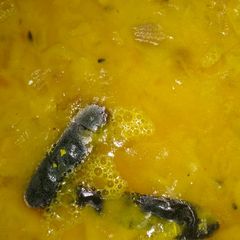 A picture of Mix daal.