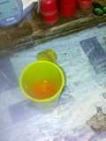 Jus jeruk,wortel, anggur (ruktelgur