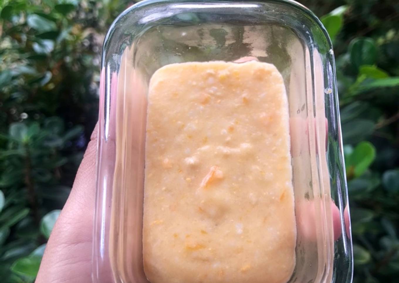 MPASI 6 bln (telur yampung, wortel, labu siam, tempe, butter dan evoo) slow cooker