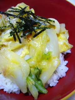 A picture of Rice Bowl with Egg and Chinese Cabbage.
