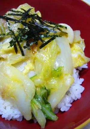 A picture of Rice Bowl with Egg and Chinese Cabbage.