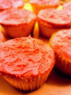 A picture of Vanilla Cupcakes.
