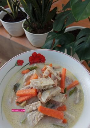 Foto resep Tempe dan Wortel Masak Santan 😘