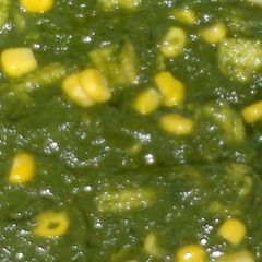 A picture of Palak corn.