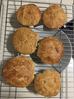 Una foto de Pan de hamburguesa sin gluten