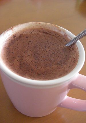 A picture of 100% Foamy Hot Chocolate Made in a Mug.