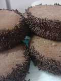 Alfajores de chocolate
