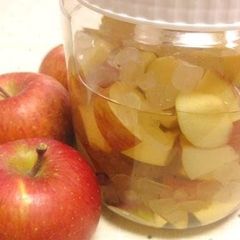 A picture of My Family's Healthy Apple Vinegar Drink.