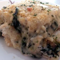 A picture of White chicken and cheese lasagna.