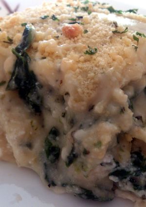 A picture of White chicken and cheese lasagna.