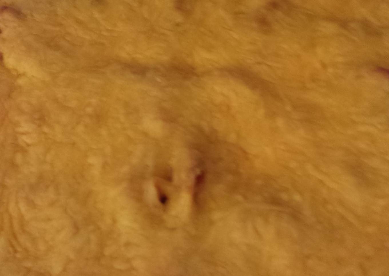 Simply Bread Mostascioli by Sharon