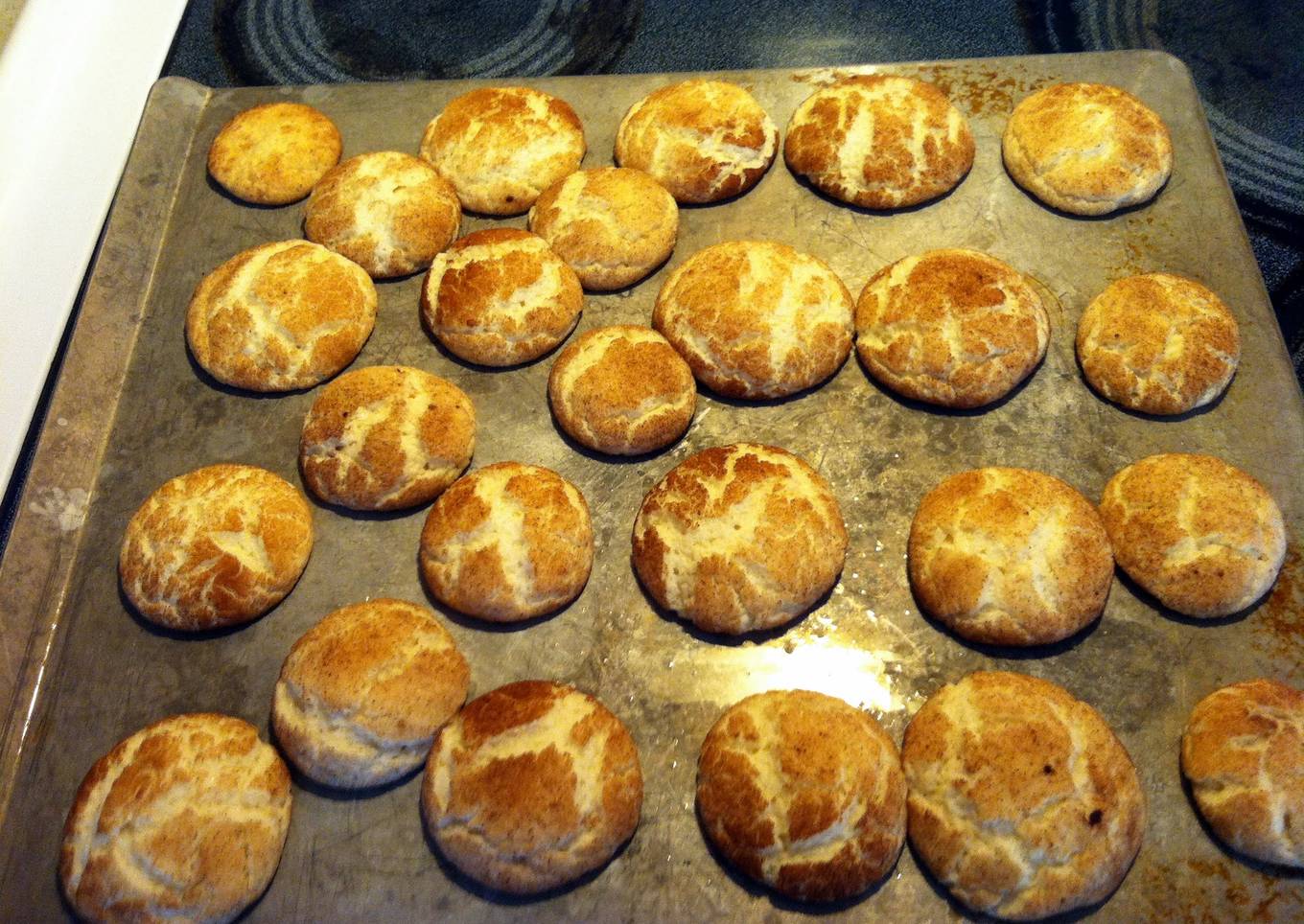 My Snicker Doodles