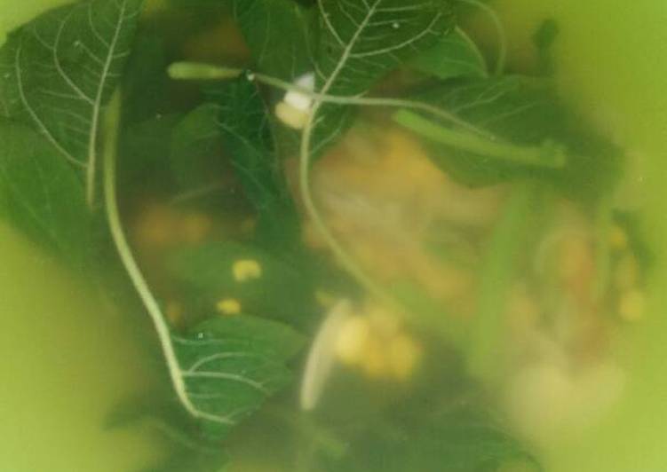 Sayur bayam anak kost 😁