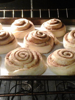 A picture of Apple Cinnamon Buns.