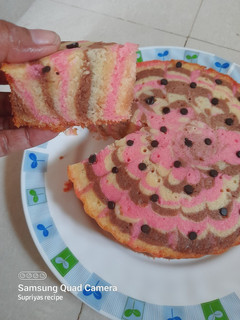 A picture of Pink marble cake.