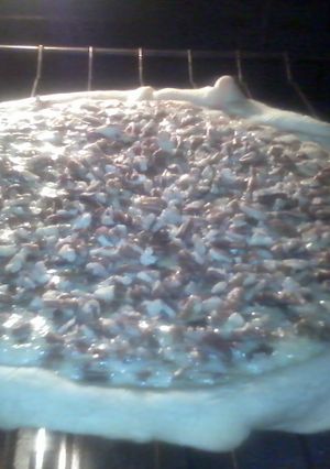 A picture of pecan pie.